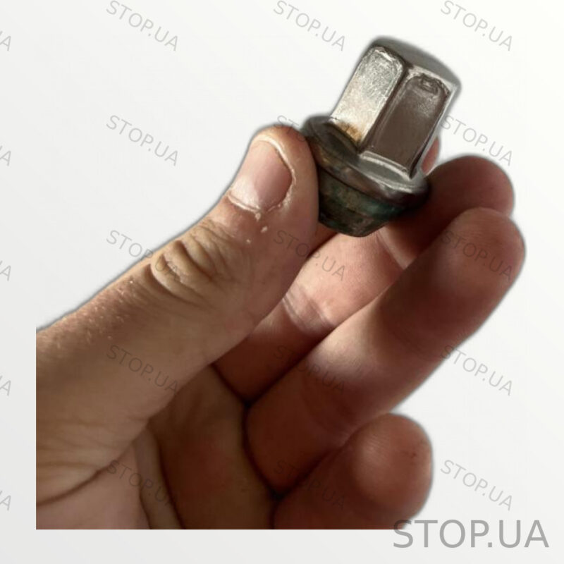 9599297 гайка Chevrolet Bolt EUV (2022–2023) — изображение 2