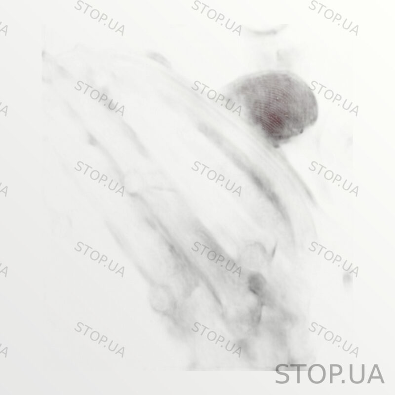 10A998479 блок фары правый Блок фары правый Volkswagen ID.4 SKU 10A998479 Б — изображение 3
