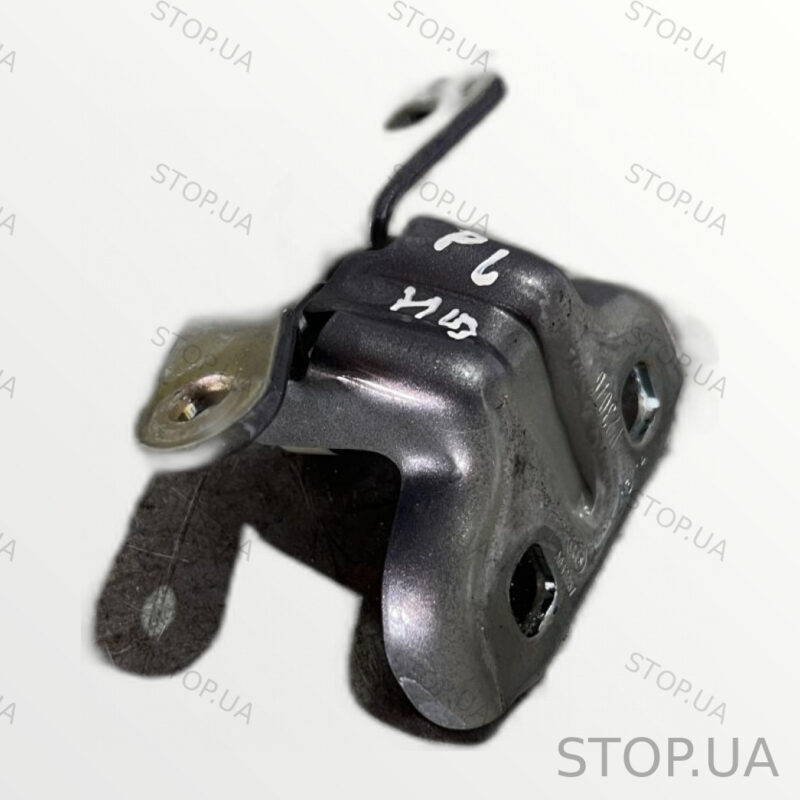 13501714 Петля двери Chevrolet Bolt EUV (2022–2023)