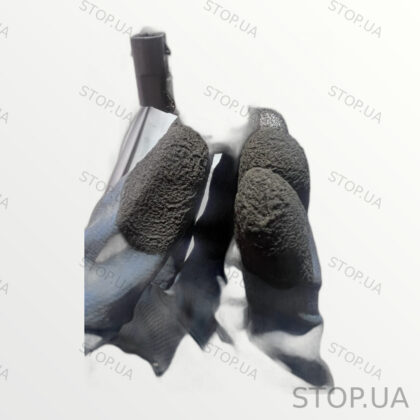 31680784 парктроник заднего бампера Парктроник заднего бампера Polestar 2 2