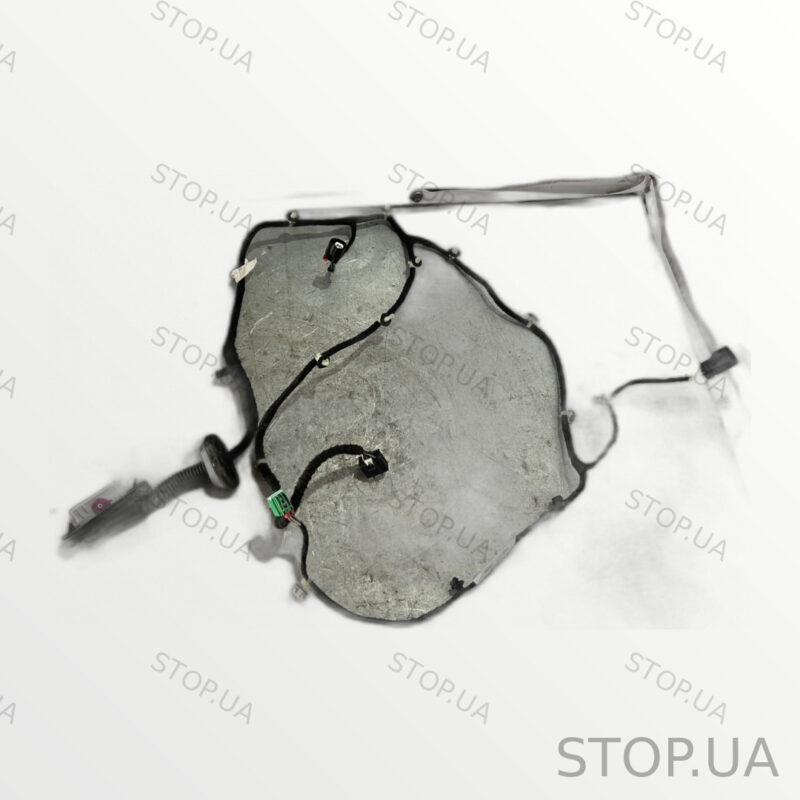 42810866 Проводка Chevrolet Bolt EUV (2022–2023)