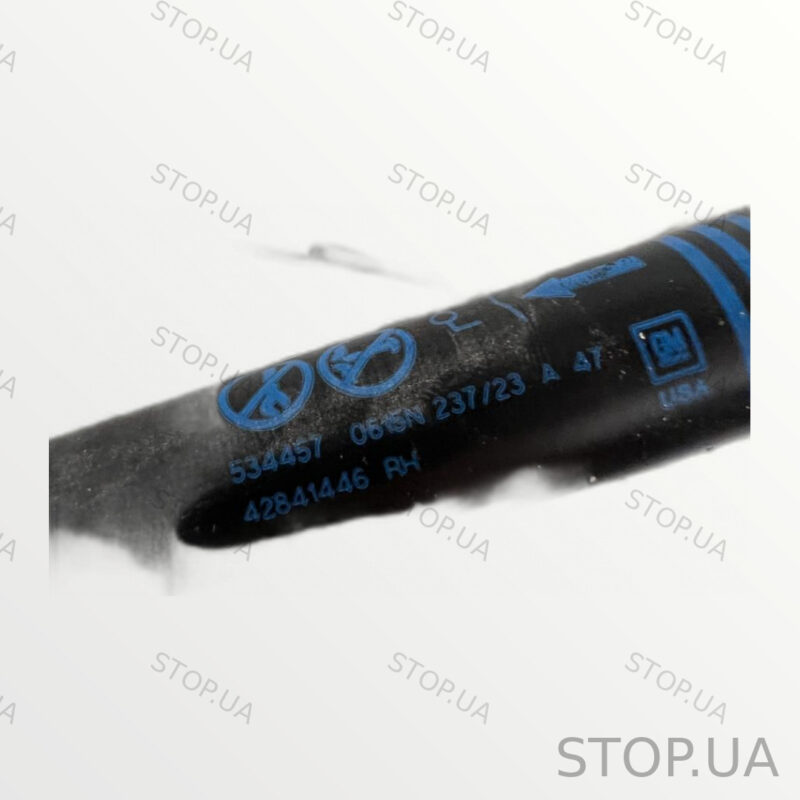 42841446 амортизатор багажника Chevrolet Bolt EUV (2019–2023) — изображение 2