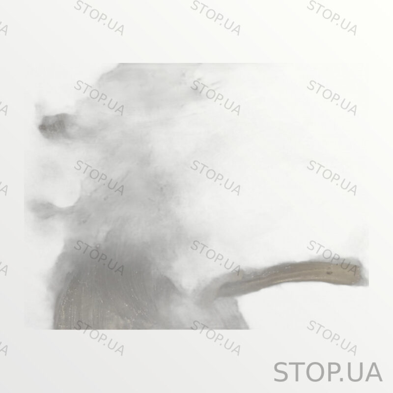 4KE825208A защита днища правая Защита днища правая Audi Q8 e-tron 2019-2024 — изображение 8
