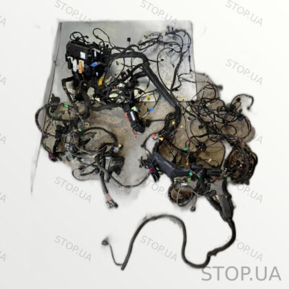 561971051 электропроводка салона Электропроводка салона Volkswagen B7 USA Э