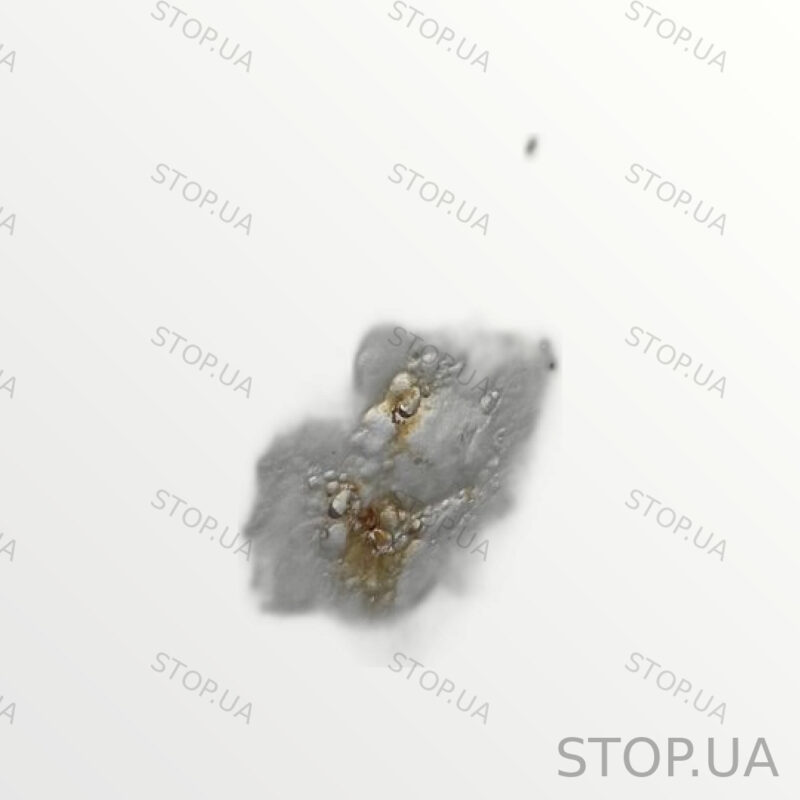 5N0827025G Крышка багажника Volkswagen Tiguan (2009–2017) — изображение 2
