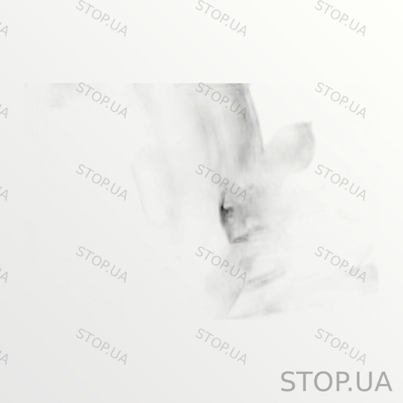 5NN853655D решетка радиатора 5NN853655D Решетка радиатора (состояние на фот — изображение 2