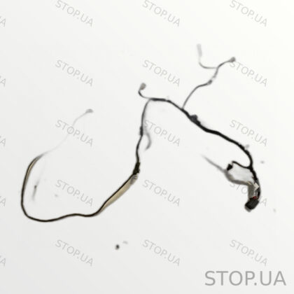 80A971693H проводка двери Проводка двери Audi Q5 80A 2017-2021, артикул 80A