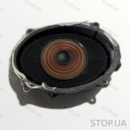 C100001447 динамик двери Rivian R1T