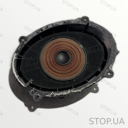 C100001455 динамик двери Rivian R1T (2022–2023)