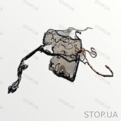 C200053946 Проводка салона Rivian R1T