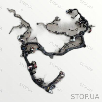 C200061769 проводка Rivian R1T