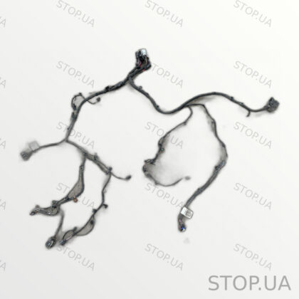 C600012685 Проводка Rivian R1T