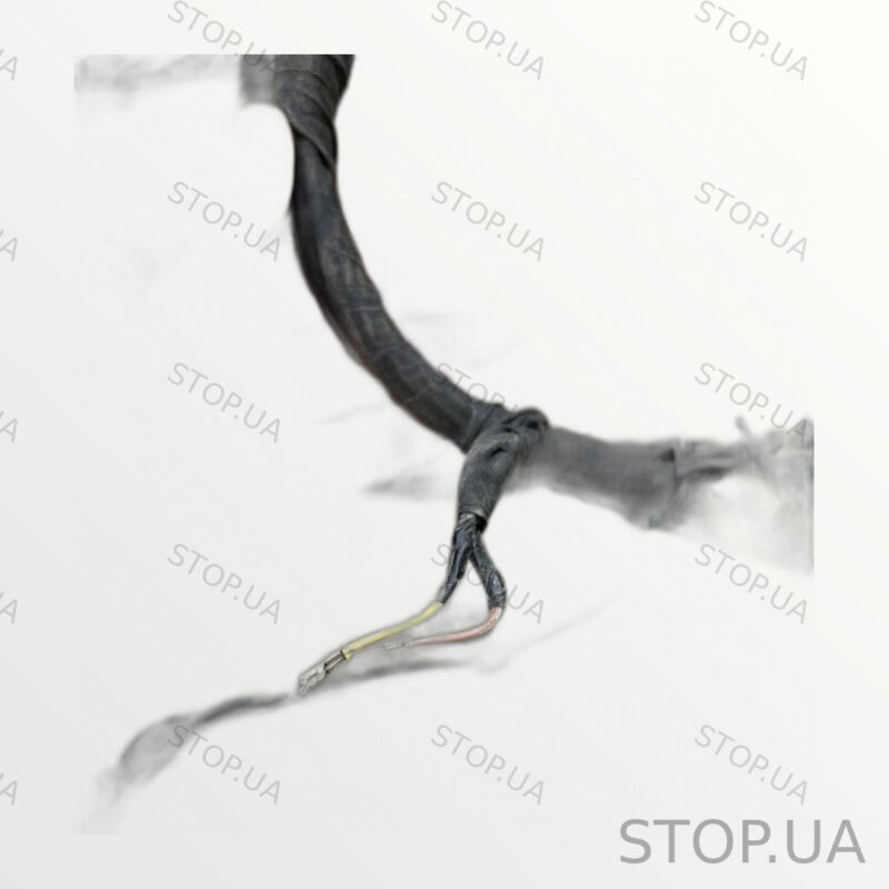 C600012685 Проводка Rivian R1T — изображение 2
