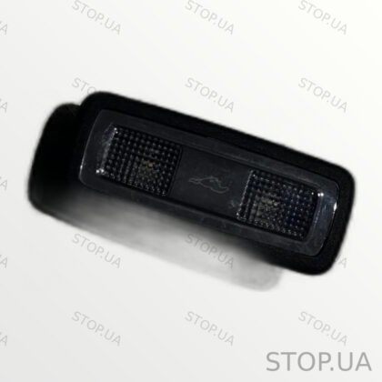 LJ8A13A756CB319W плафон салона Плафон салона Ford Mustang Mach-E 2021-2023