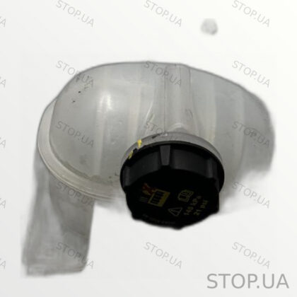 LJ938A080AC расширительный бачок Расширительный бачок Ford Mustang Mach-E 2