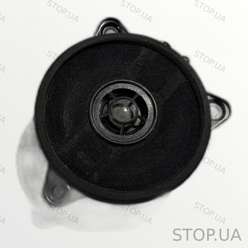 PT00001450 динамик Rivian Array