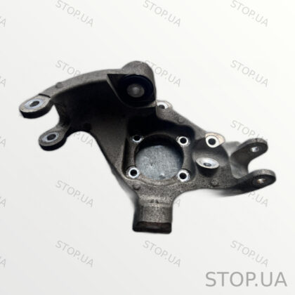 PT00001891 Цапфа Rivian R1T