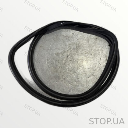 PT00002370 Ущильнювач двери Rivian R1T (2022–2023)