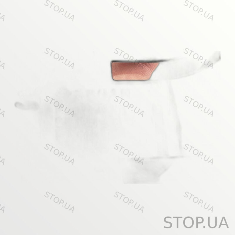 PT00030861 накладка Rivian R1T — изображение 2